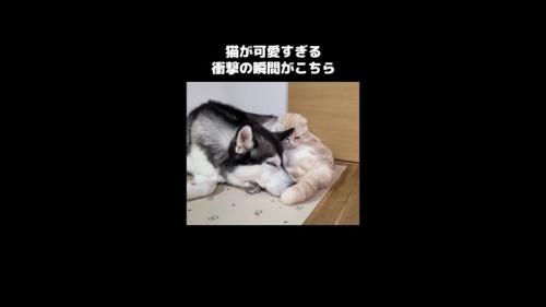 腰を下ろす姿