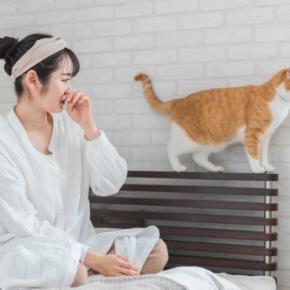 猫の飼い主が『育猫ノイローゼ』を引き起こす原因4つ 心の負担を減らすコツや改善策