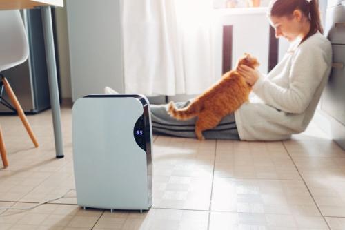空気清浄機と猫