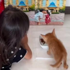 『死にそうだったから』とパパが連れ帰った子猫→子供たちと少しずつ距離を縮めていって…尊い光景が139万再生「優しくて素敵」「可愛すぎ」
