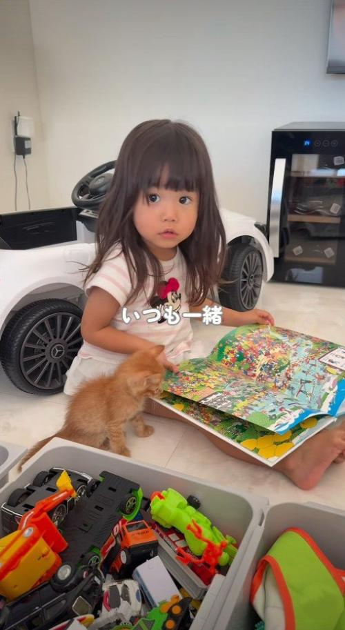 絵本を読む女の子の傍にいる子猫