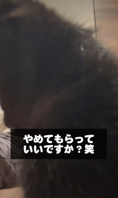 カメラに割り込む黒猫
