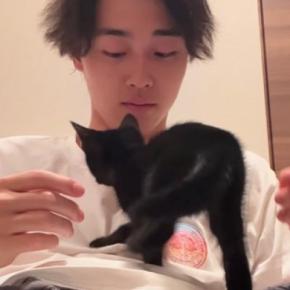 保護子猫たちが家に来てわずか