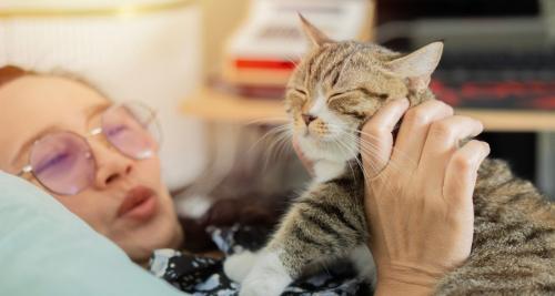 猫を抱くアジア人女性