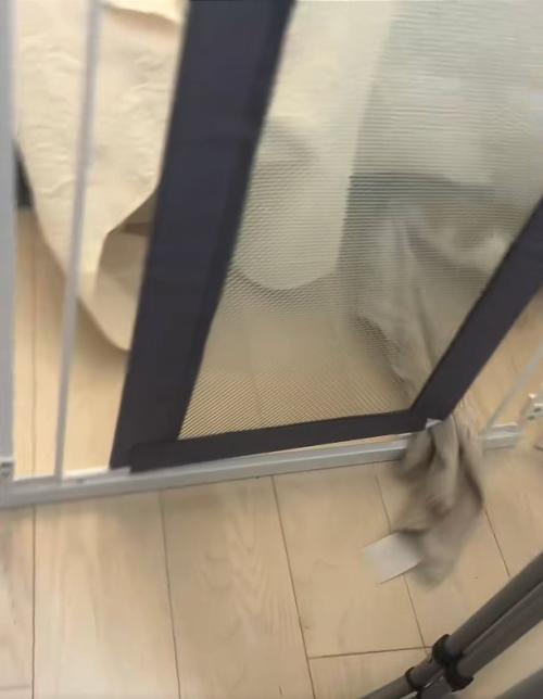 フェンスの隙間に挟まれているタオル
