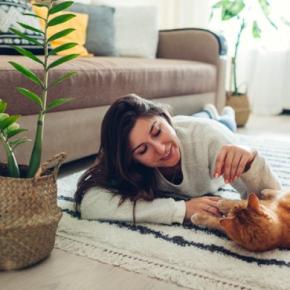 猫の『分離不安症』が疑われる症状7つ　放置すべきでない理由や飼い主が取るべき対処法
