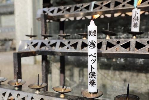 寺院のペット供養のろうそく