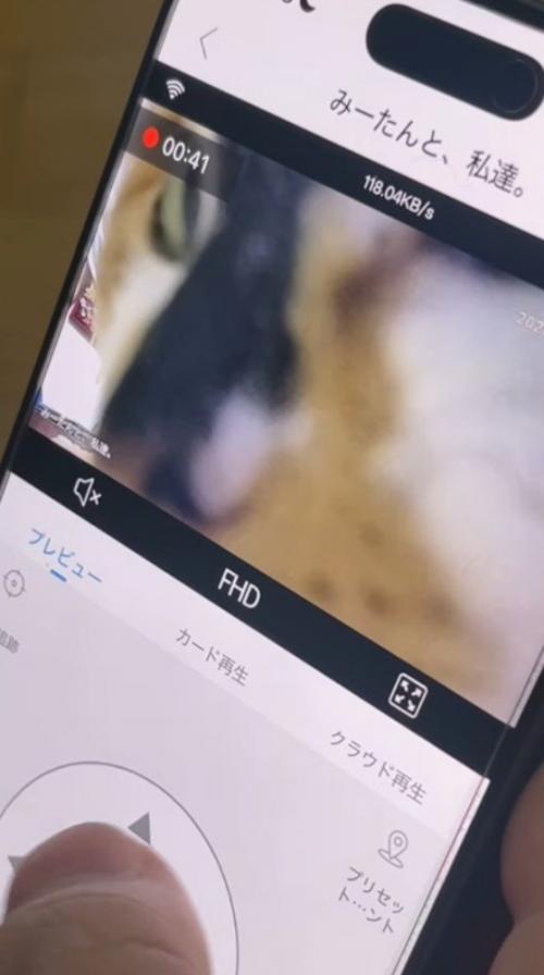 猫の横顔が映ったスマホ画面