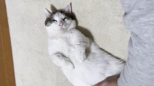 目を閉じた姿