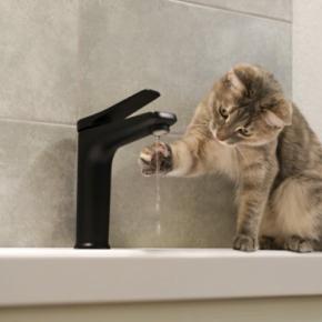 猫が『蛇口の水』に夢中になる理由4選 なぜ流れる水を好むの?お皿では飲まないときの対処法も