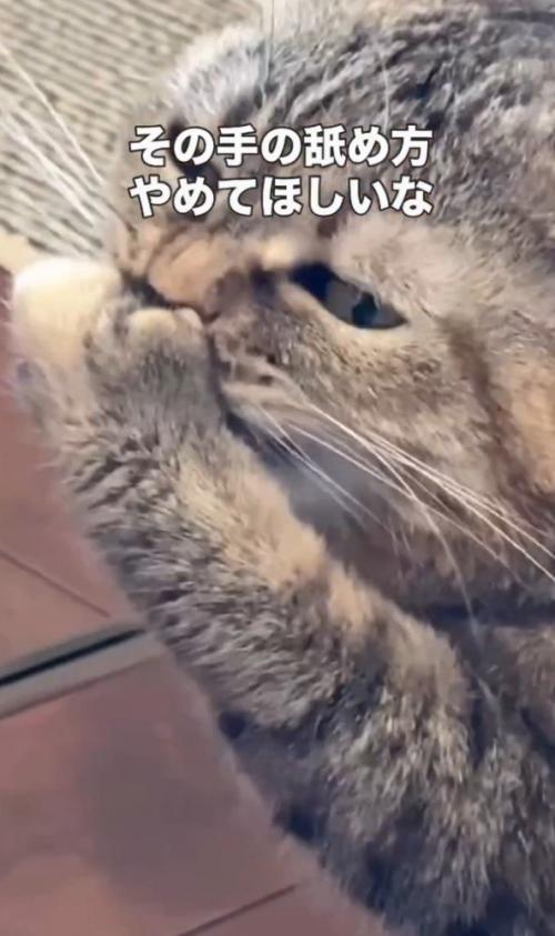 「その手の~」と書かれた写真1