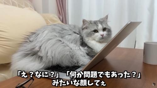 テロップ「「え?なに?」~」