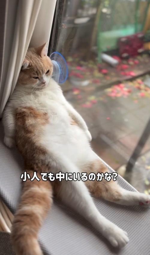 「小人でも~」と書かれた写真