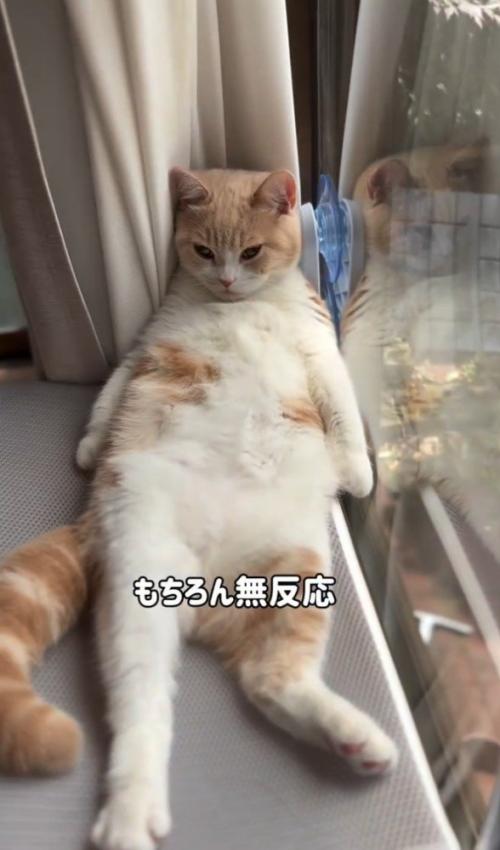 「もちろん~」と書かれた写真