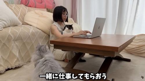 テロップ「一緒に仕事してもらお」
