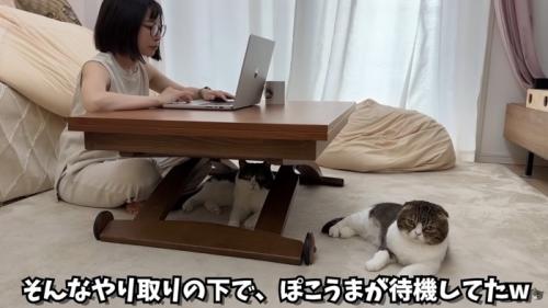 テロップ「そんなやり取りの~」