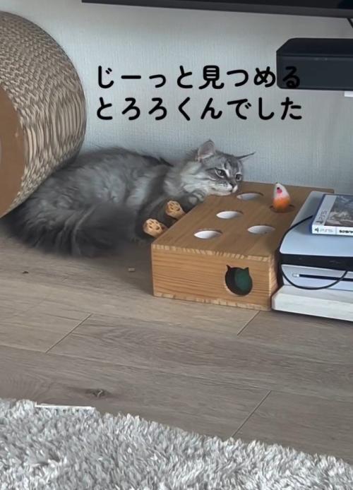 「じーっと～」と書かれた写真