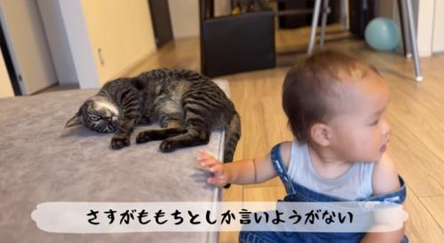 赤ちゃんと寝ている猫