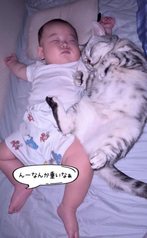 眠る赤ちゃんと猫