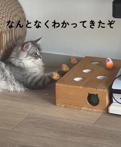 「なんとなく～」と書かれた写真