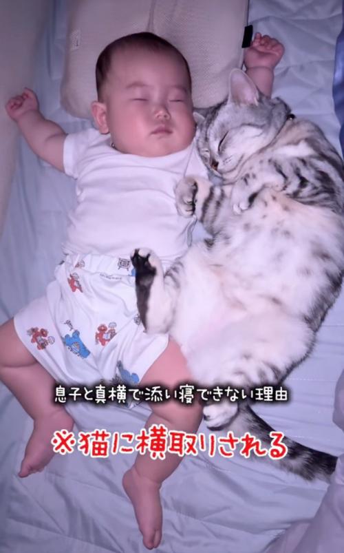 赤ちゃんと添い寝する猫