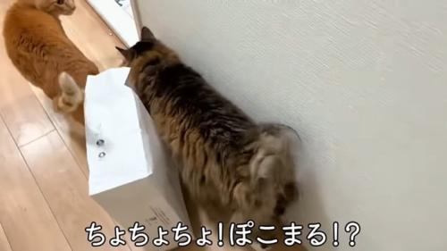 ちょちょちょ!