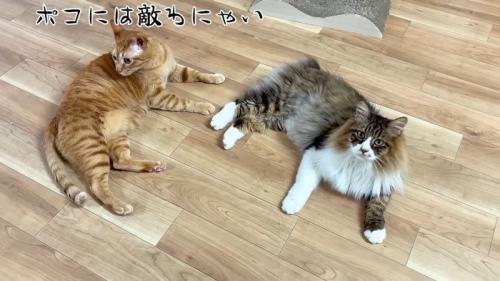 くつろぐふたり