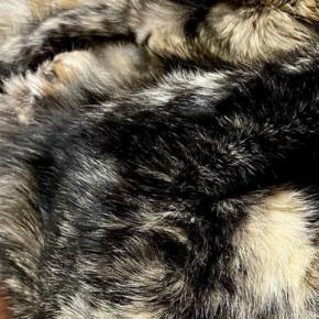 椅子の上で仲良くくつろぐ『2匹のサビ猫』…まるでトリックアートのような『驚きの光景』に1万いいね「溶け合ってる」「ムッッズw」