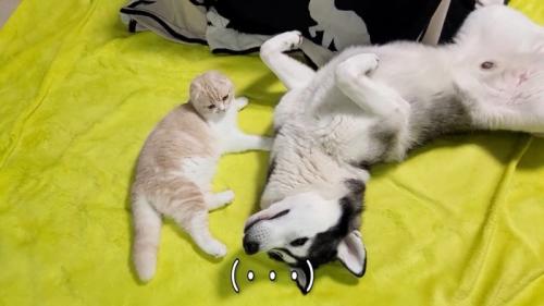 寝転ぶふたり