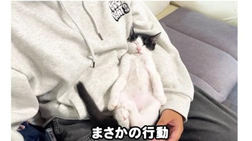 男性と寝ている猫