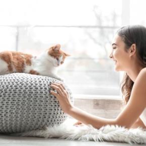 猫に『依存しすぎる』と起こりうるトラブル5つ 愛猫への悪影響や正しい関わり方も解説