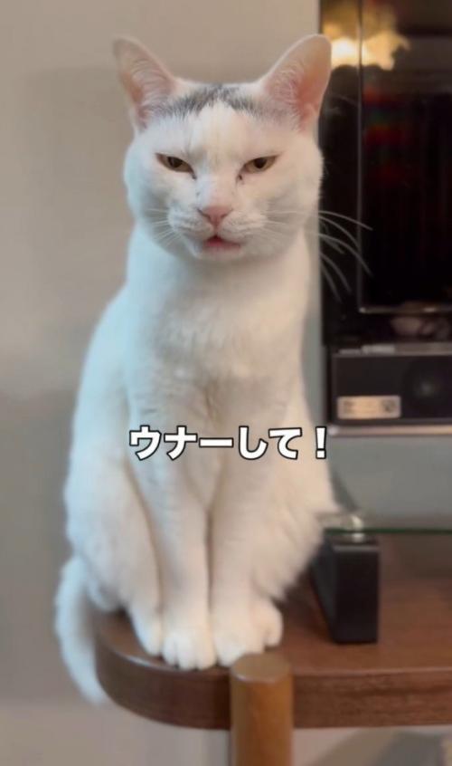 「ウナーして！」と書かれた写真