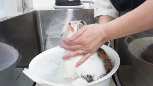 上を向いて
