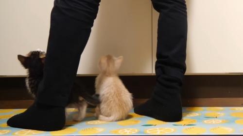 ふたりの後ろ姿