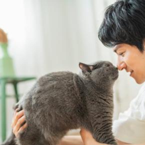 猫が『尊敬している人』にだけみせるサイン5選 リスペクトされる人の共通点や頼られるための心得