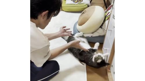 猫と男性