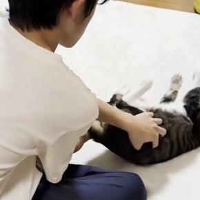 息子に転がされる猫→自分から何度も戻ってきて…ほっこりする『可愛すぎるやり取り』に「鳴き声がたまらん」「遊び方うまいなぁ」の声