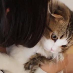 猫への愛が止まらない女の子→ぎゅーっと抱きしめると…とっても仲良しな『ふたりの様子』に「癒されるわぁ」「お互い幸せそう」と反響