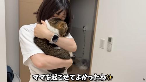 女性に抱っこされている猫