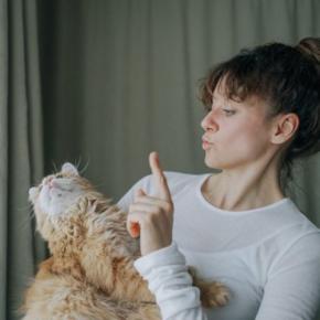 猫の『しつけ』を成功させるためのポイント4つ　心がけるべきことからNG対応まで解説