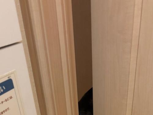 トイレのドアの隙間