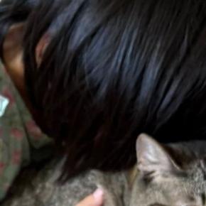 娘に『猫吸いされる猫』と、隣で『次は自分の番』だと察した猫…笑ってしまう『2匹の様子』に7万いいね「諦めてるw」「病院の順番待ちw」