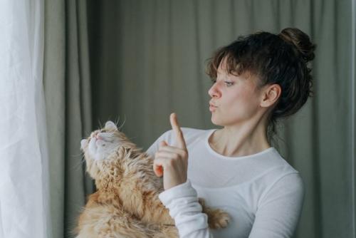 抱っこされて上を向く猫