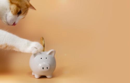 貯金箱にお金を入れる猫
