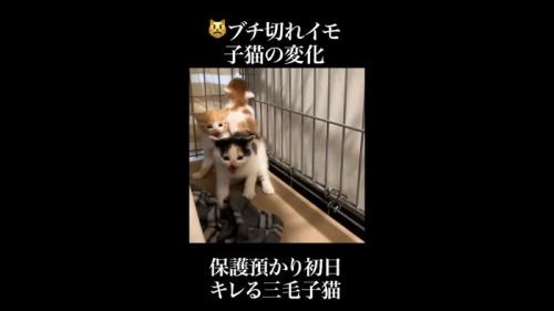 奥に集合