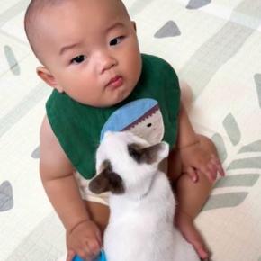 『小さな子猫』が『赤ちゃんの足の間』でくつろぎ始めた結果…「可愛すぎて変な声でたw」210万再生された尊い光景に「涙が出てくる」