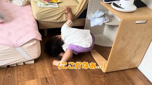 ここかなぁ…