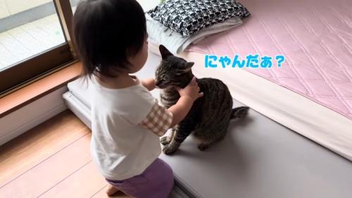 にゃんだぁ?