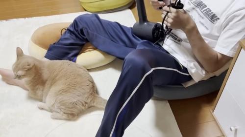 ドライヤーのコードをたたむ息子さんと、右足首に寄り添う猫ちゃん