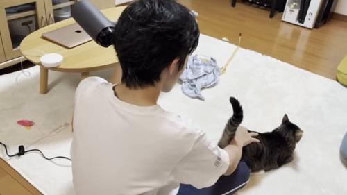 ドライヤー中の息子さん（右手にキジ白猫ちゃん）
